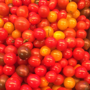 Foto de Tomate Cereja